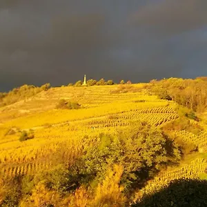 Wine Passion Panoramic Chavanay